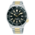 Alba AU4081X1 Erkek Kol Saati
