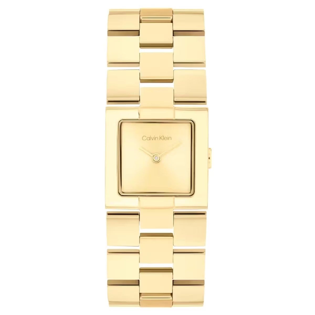 Calvin Klein CK25100089 Kadın Kol Saati