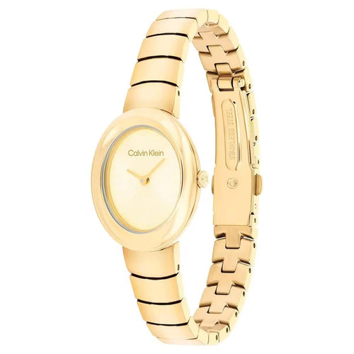 Calvin Klein CK25100147 Kadın Kol Saati