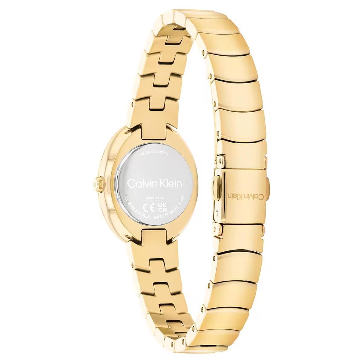 Calvin Klein CK25100147 Kadın Kol Saati