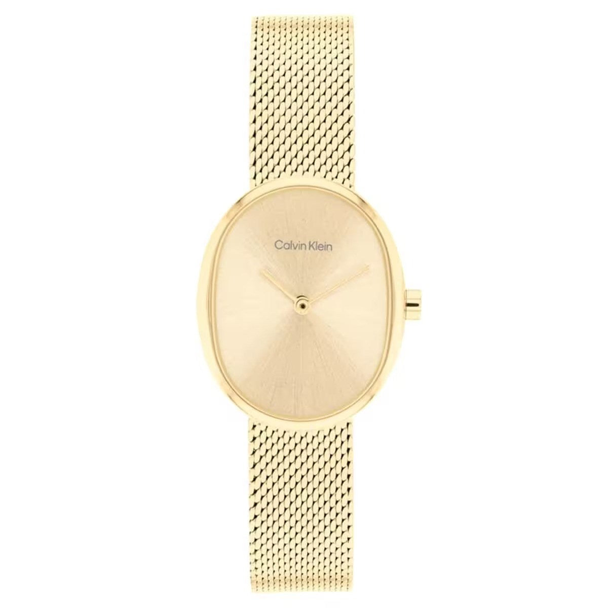 Calvin Klein CK25100174 Kadın Kol Saati