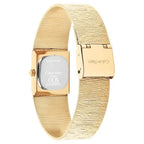 Calvin Klein CK25100178 Kadın Kol Saati
