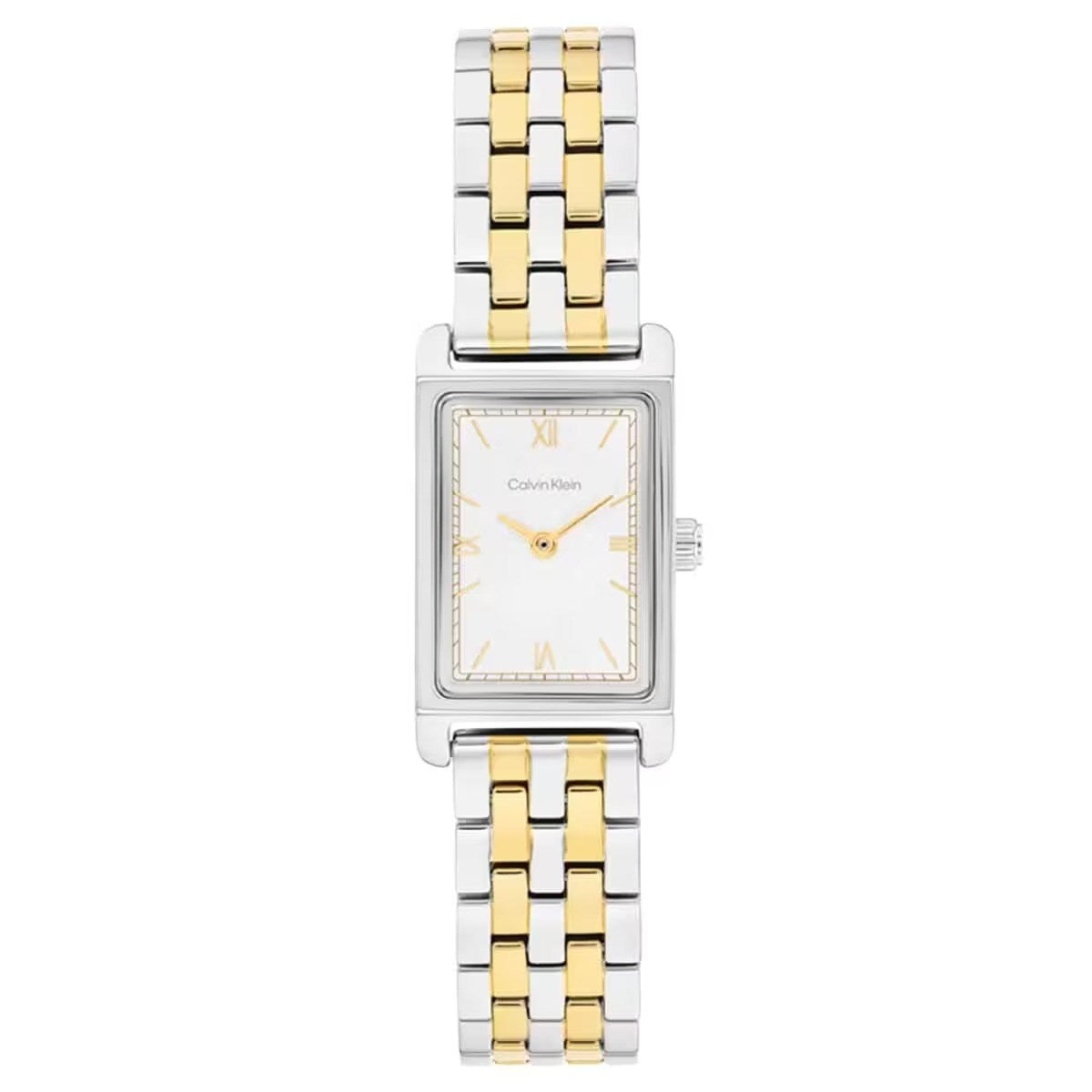 Calvin Klein CK25100199 Kadın Kol Saati
