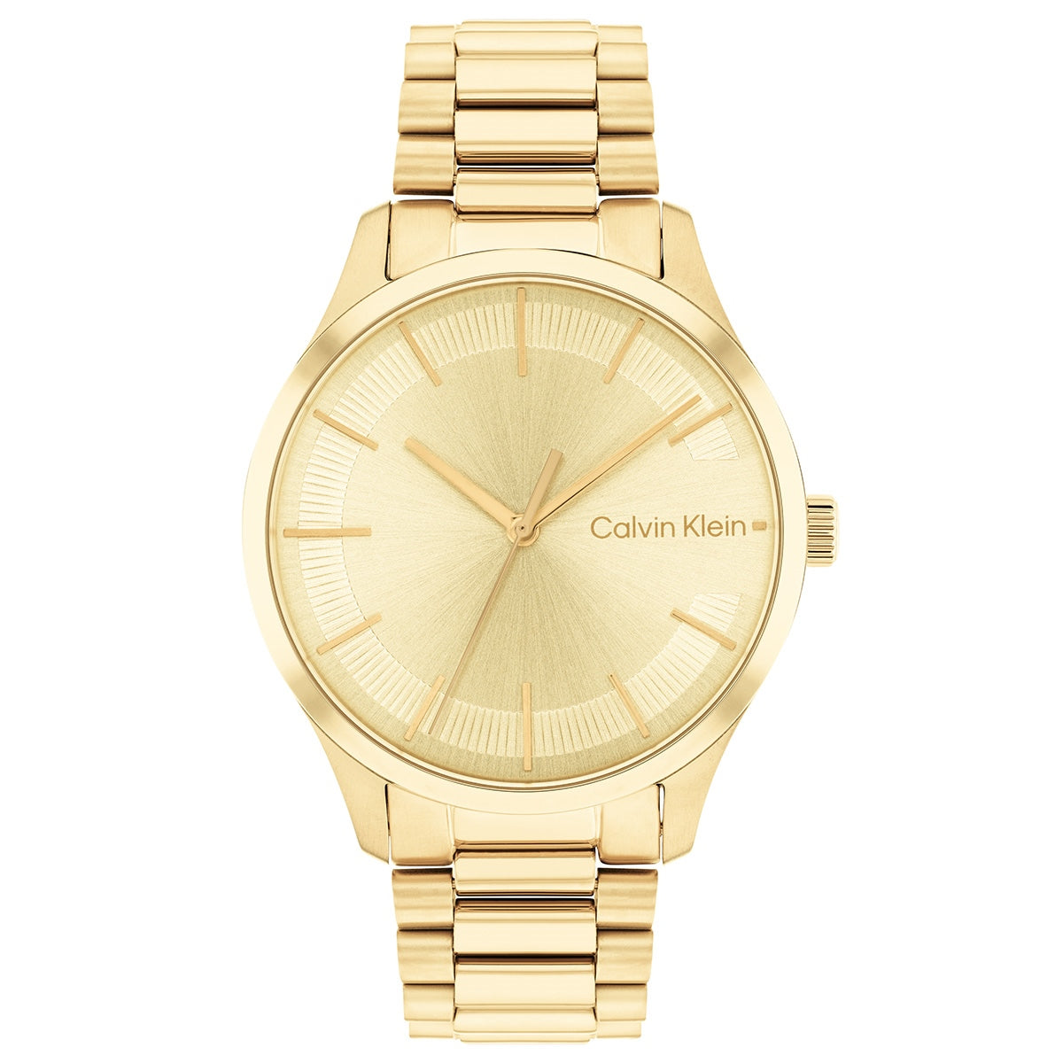 Calvin Klein CK25200043 Kadın Kol Saati
