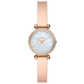Fossil BQ3894 Kadın Kol Saati