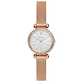 Fossil BQ3897 Kadın Kol Saati